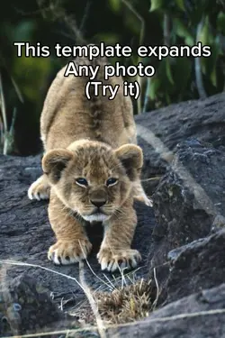 Expand Photo