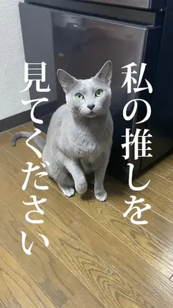 私の推しを見てください