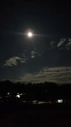 night vibes