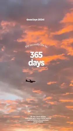 365 days recap