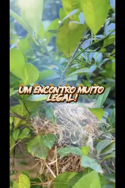 Um encontro