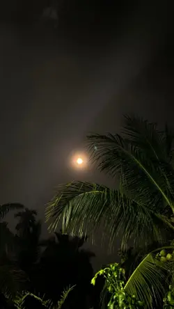 the night we met