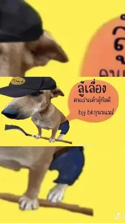 ใช่กันเยอะๆน่ะครับ