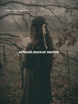 sebuah mawar merah