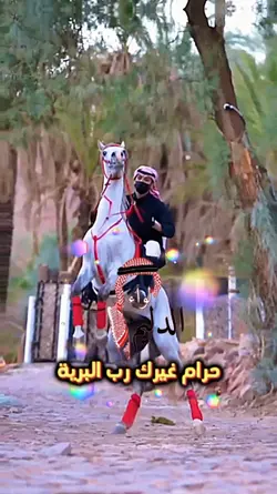 حرام ماحد علي فوكانه