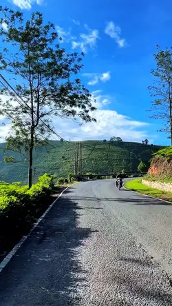 6 video aesthetic HD