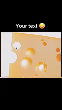Cheese funny video