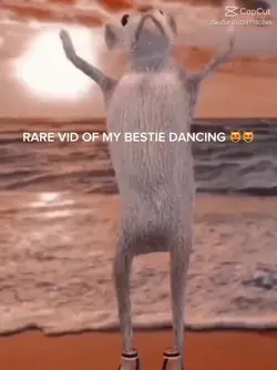 ok