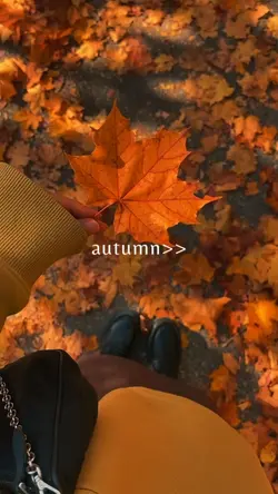 autumn vibes 