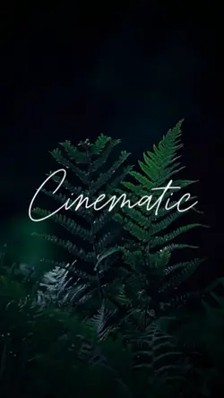 5 clips videos