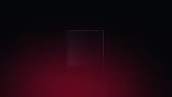 black box
