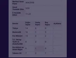 LGS sonuçları nasıl 