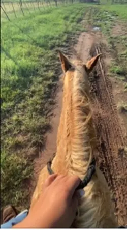 Rode around bareback