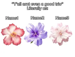 Trio