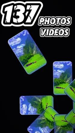 137 videos photos