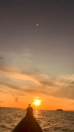 minivlog