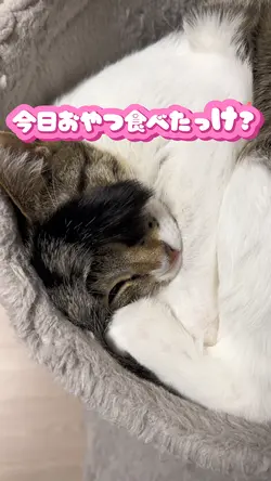 おやつ食べたっけ?