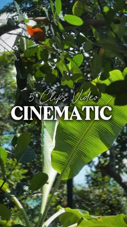 CINEMATIC 5 CLIPS
