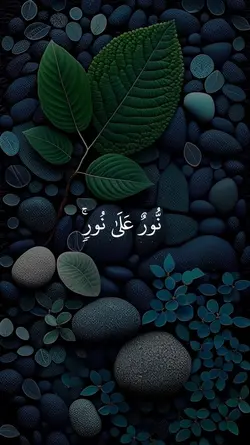 نور على نور