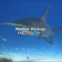 Marine Biology 