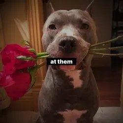 .