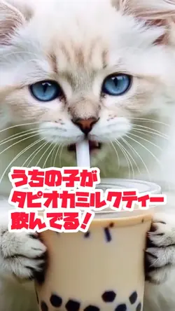 うちの子がタピオカミルクティー