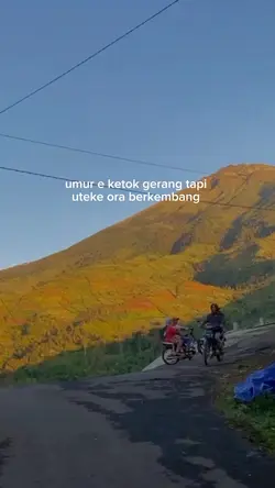 berkembang biak 