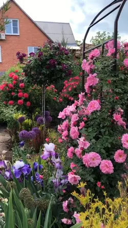 aesthetic garden