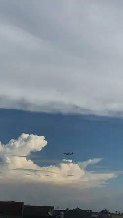 Pesawat Terbang View