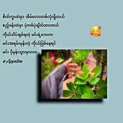 မင်းပိုမုန်းသွားမှာလား