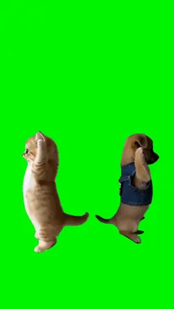 TUN TUN TUN PETS