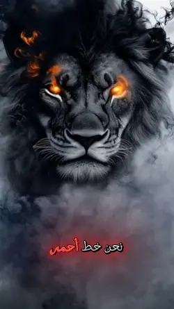 aboodilove