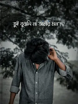 তুই বুঝলি না আমার মন