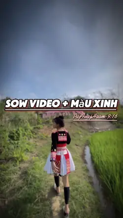 slow video nhạc hot