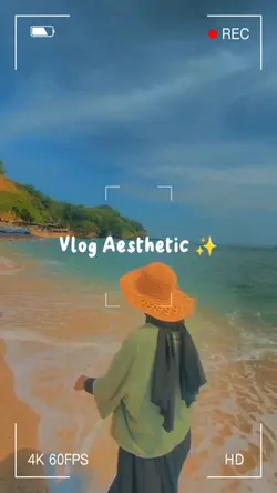 Vlog aesthetic