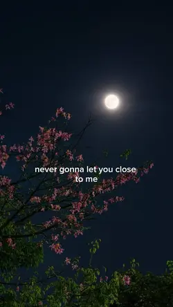 Song lyrics 