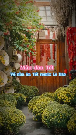 Mẫu đón Tết 