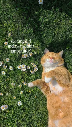 kata kata