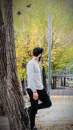 amir