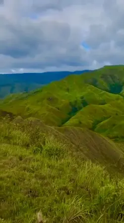 Bukidnon new zealand