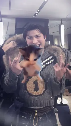 kicau mania kucing
