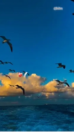 Thêm 1video