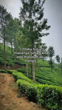 cintaku tulus 