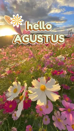 hello august