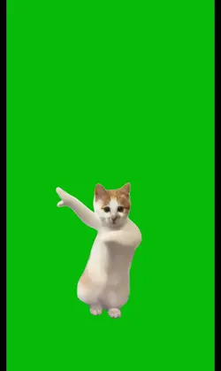 Cat Dancing 