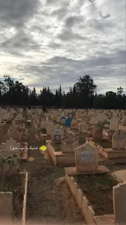 افقدنا ميت