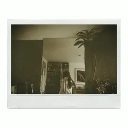 frame polaroid