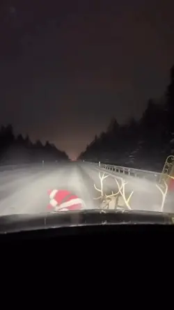 Santa claus