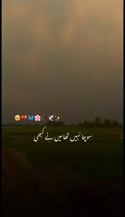 NEW POETRY 
