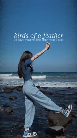 bird of a feather